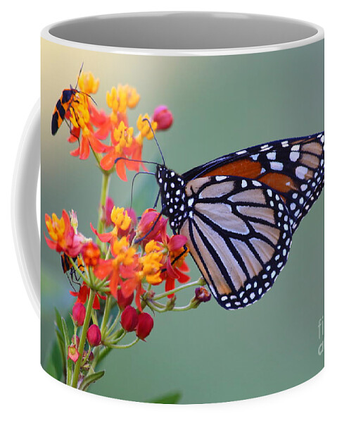 Monarch Coffee Mug featuring the photograph Sharing by Marty Fancy