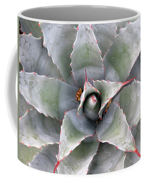Cactus Coffee Mug featuring the photograph Sharply Circular by Laurel Powell