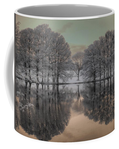 Grey Summit Coffee Mug featuring the photograph Shaw Nature Reserve by Jane Linders