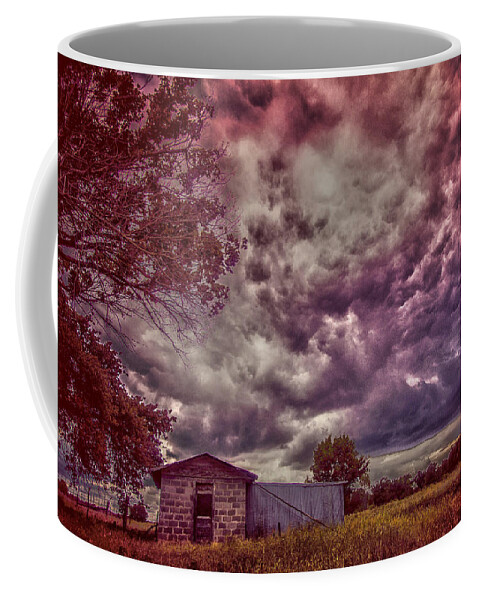 Landscape Coffee Mug featuring the photograph Shed against the Storm by Toni Hopper