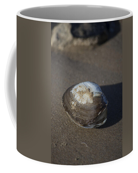 Sea Shell Coffee Mug featuring the photograph Shell or someone's dinner by Spikey Mouse Photography