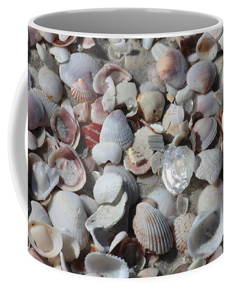 Shells Coffee Mug featuring the photograph Shells on Treasure Island by Carol Groenen