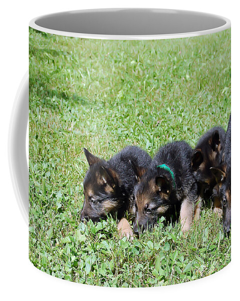 Animal.dog Coffee Mug featuring the photograph Shepherd Pups 10 by Aimee L Maher ALM GALLERY