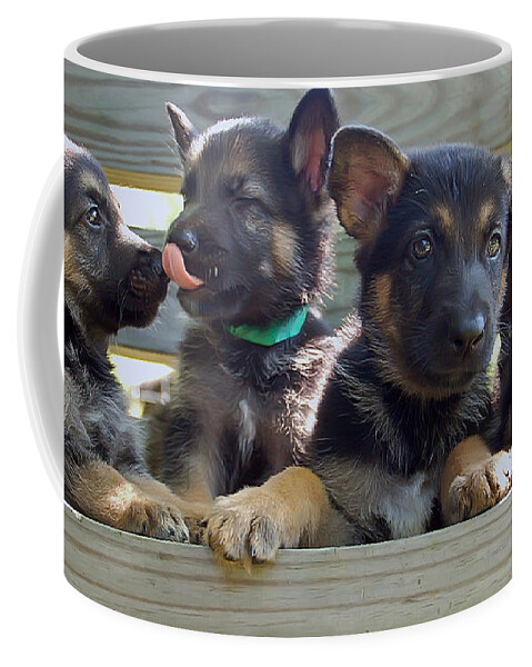 Animal.dog Coffee Mug featuring the photograph Shepherd Pups 5 by Aimee L Maher ALM GALLERY