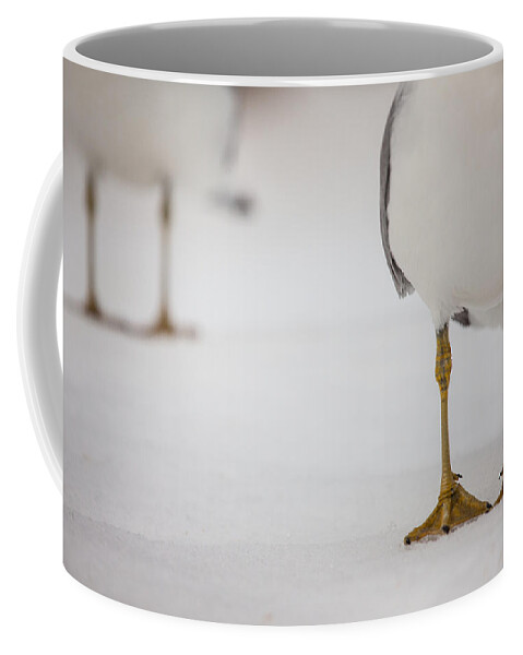 Shes Got Legs Coffee Mug featuring the photograph Shes Got Legs by Karol Livote