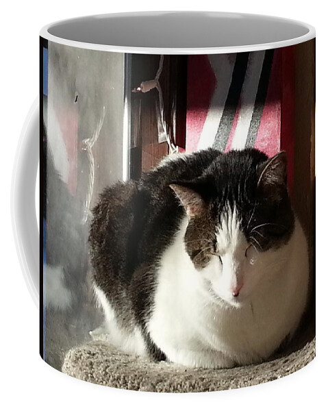 Cat Coffee Mug featuring the photograph Shhh by Caryl J Bohn