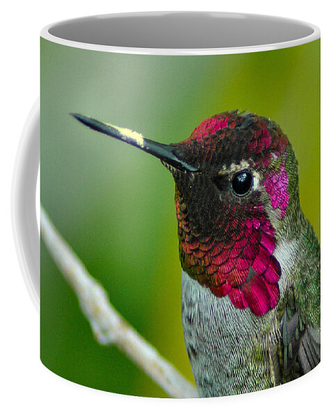 Hummer Coffee Mug featuring the photograph Shining Brightly by Lynn Bauer
