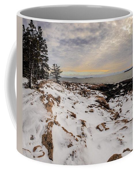 Landscape Coffee Mug featuring the photograph Ship Harbor at Acadia National Park by Brent L Ander
