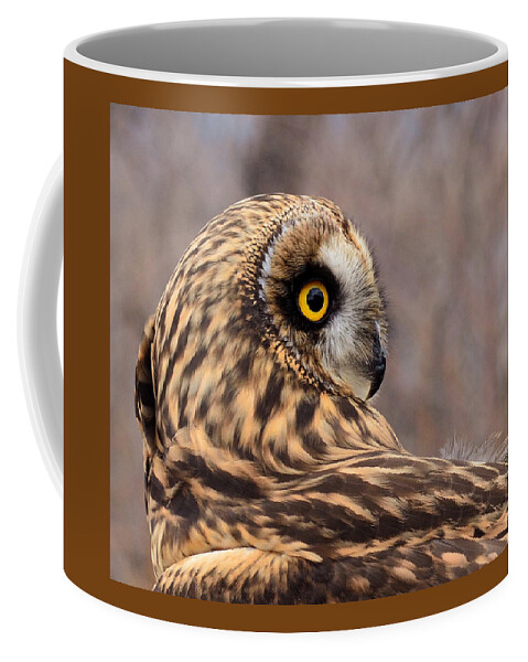 Owl Coffee Mug featuring the photograph Short-eared Owl 1 by Kae Cheatham