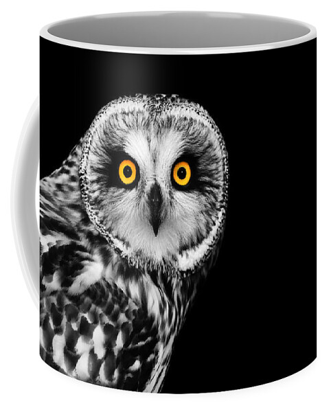 Short Eared Owl Coffee Mug featuring the photograph Short-Eared Owl by Mark Rogan