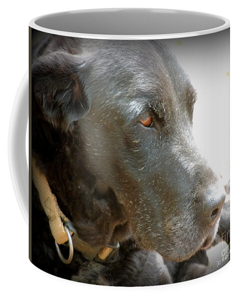 Dog Coffee Mug featuring the photograph Showing his age by Rabiah Seminole