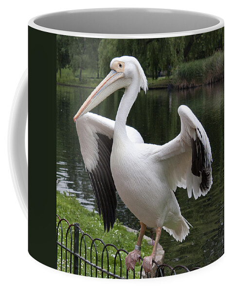 Beak Coffee Mug featuring the photograph Showing off by Shirley Mitchell