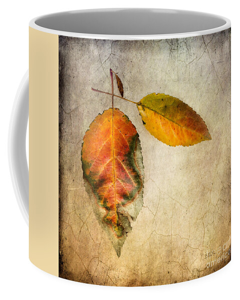 Autumn Coffee Mug featuring the photograph Showtime by Betty LaRue