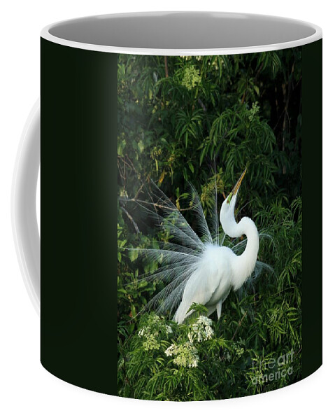 Great White Egret Coffee Mug featuring the photograph Showy Great White Egret by Sabrina L Ryan