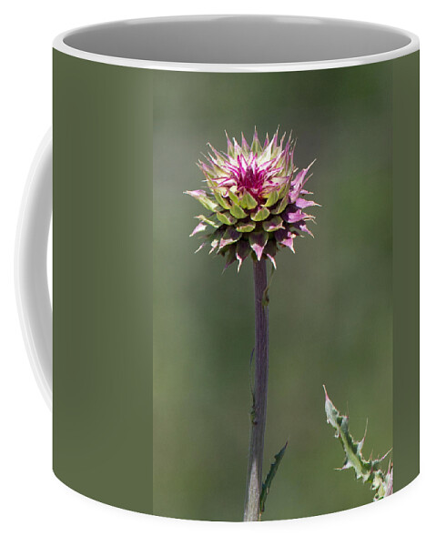 Botanical Coffee Mug featuring the photograph Shrouded Beauty by John Daly