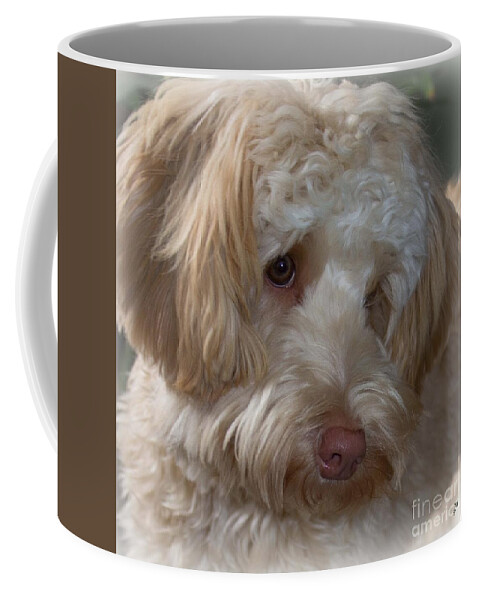 Pet Coffee Mug featuring the photograph Shy Doodle by Sandra Clark