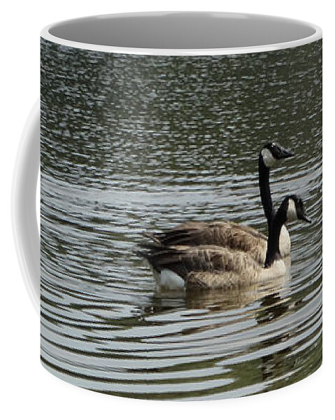 Tree Coffee Mug featuring the photograph Side By Side by Joseph Baril