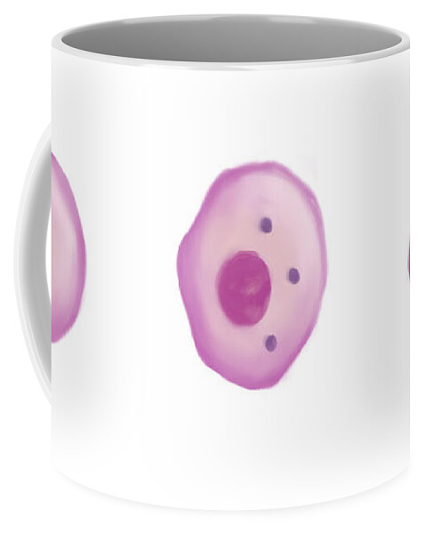 Science Coffee Mug featuring the photograph Sideroblasts, Illustration by Spencer Sutton