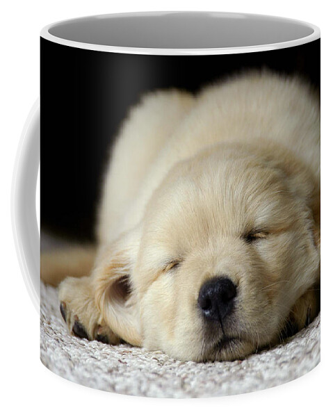 Nap Coffee Mug featuring the photograph Siesta by Robert Dann