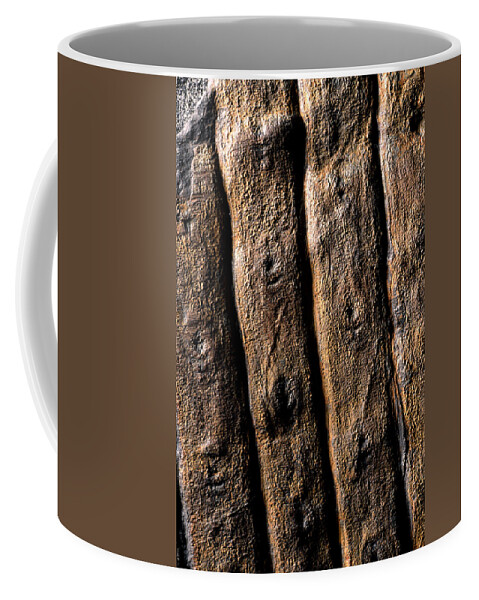 Ancient Coffee Mug featuring the photograph Sigillaria Fossil by Theodore Clutter