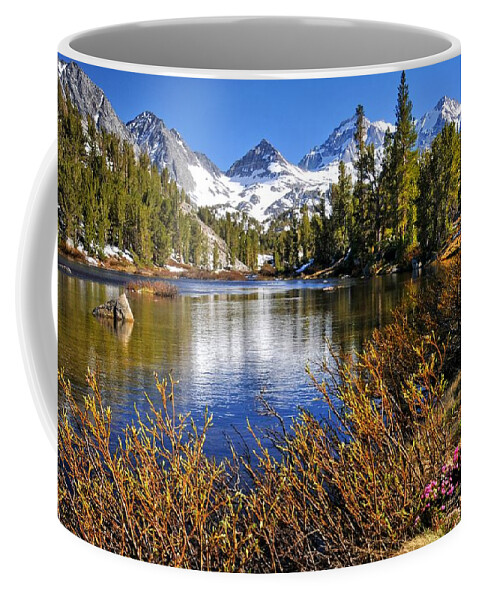 Little Lakes Valley Coffee Mug featuring the photograph Signs of Spring by Lynn Bauer