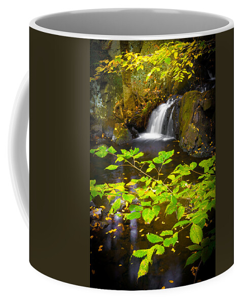 Leaves Coffee Mug featuring the photograph Silent Brook by Mark Rogers