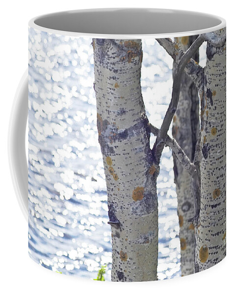 Tree Coffee Mug featuring the photograph Silver birch trees at a sunny lake by Heiko Koehrer-Wagner