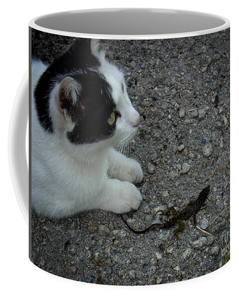 Cat Coffee Mug featuring the photograph Simon and the Skink by Charlene Gauld