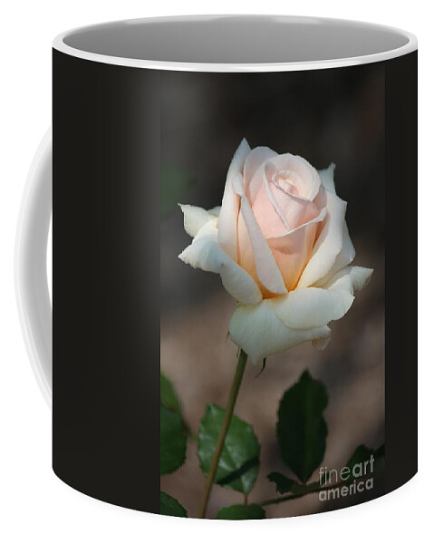 Rose Coffee Mug featuring the photograph Single Stem by Veronica Batterson