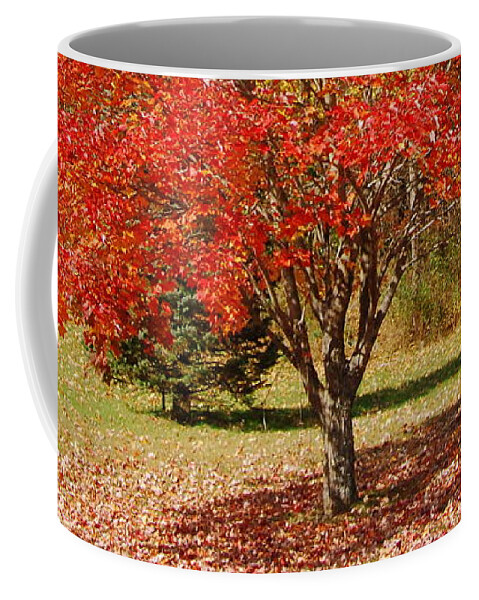 Single Tree Coffee Mug featuring the photograph Single Tree by Eunice Miller