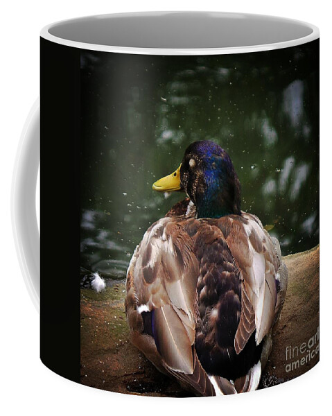 Mallard Duck Coffee Mug featuring the photograph Sitting Duck by Charlie Cliques