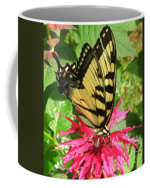Flower Coffee Mug featuring the photograph Sitting On Dinner by Kim Galluzzo