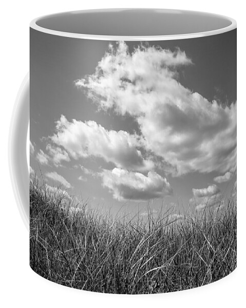 Sky Coffee Mug featuring the photograph Sky Grass by Frank Winters