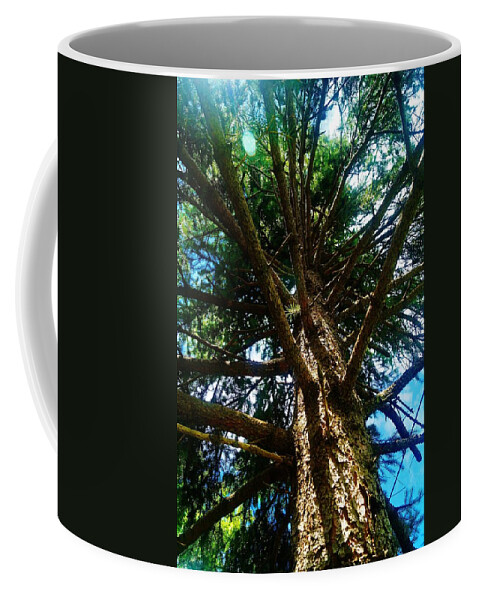 Spruce Coffee Mug featuring the photograph Skyward Spruce by Daniel Thompson