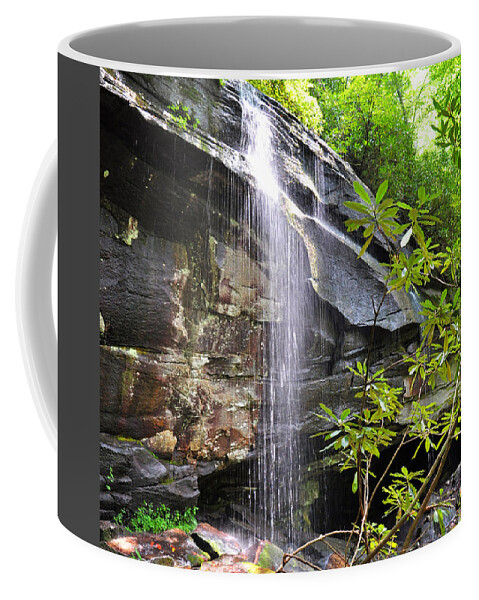 Slick Rock Falls Coffee Mug featuring the photograph Slick Rock Falls by Savannah Gibbs