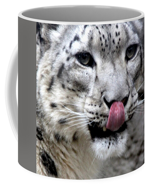 Snow Leopard Coffee Mug featuring the photograph Slurp by Ramabhadran Thirupattur