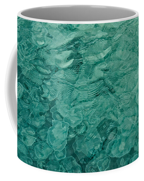 Alaska Coffee Mug featuring the photograph Smack of Jellyfish by George Buxbaum