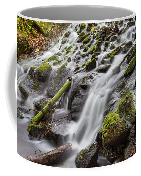 Dublin Coffee Mug featuring the photograph Small Waterfalls in Marlay Park by Semmick Photo