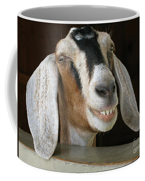 Goat Coffee Mug featuring the photograph Smile Pretty by Ann Horn