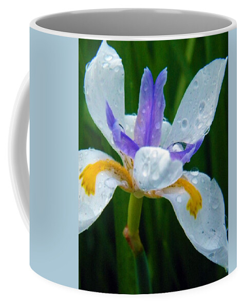 Flower Coffee Mug featuring the photograph Smile RainDrop Dragon by Amanda Eberly
