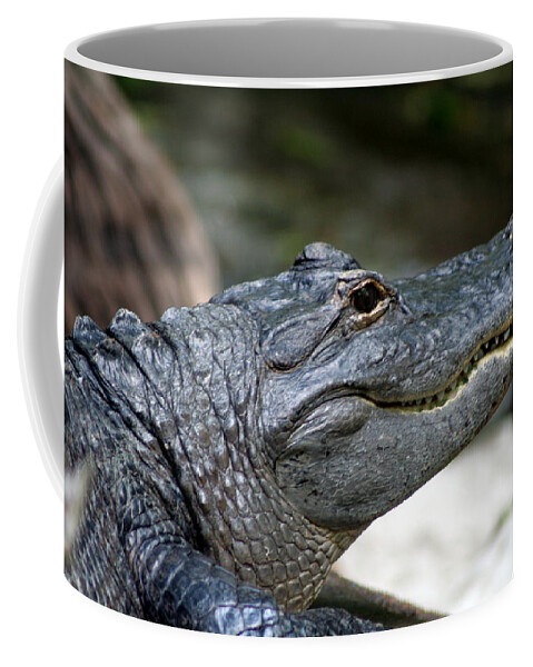 Alligator Coffee Mug featuring the photograph Smiling Alligator by Valerie Collins