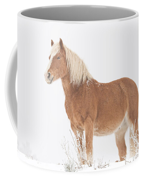 Palomino Coffee Mug featuring the photograph Smiling Palomino in the Snow by James BO Insogna