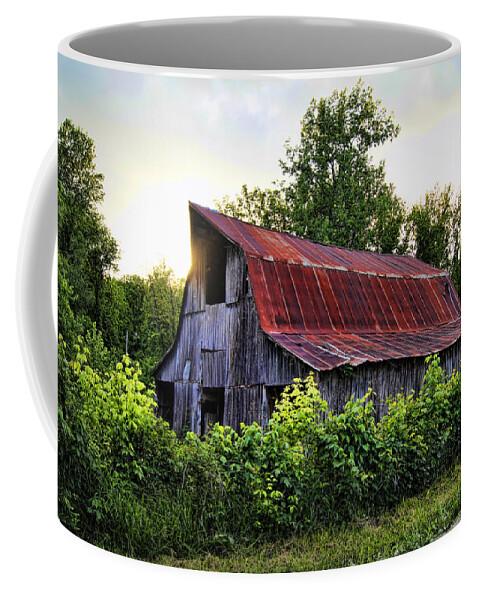 Barn Coffee Mug featuring the photograph Smith Hatchery Road Barn by Cricket Hackmann