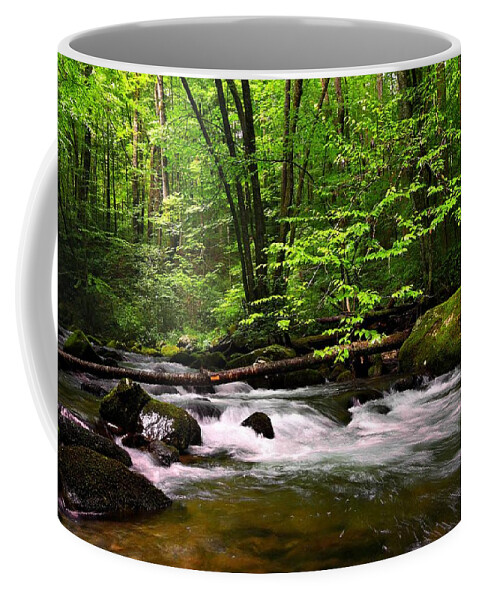 Great Smoky Mountain National Park Coffee Mug featuring the photograph Smoky Mountain Waters by Carol Montoya