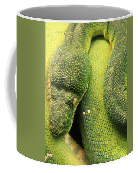 Snake Coffee Mug featuring the photograph Snake in Green Dress by Munir Alawi