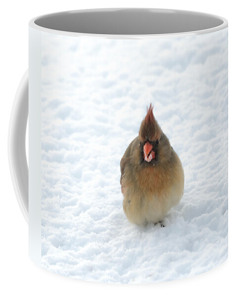 Cardinal Coffee Mug featuring the photograph Snow Beard by Holden The Moment