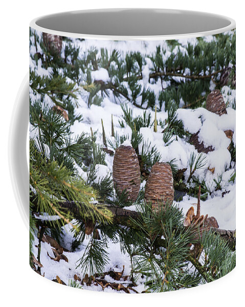 Snow Coffee Mug featuring the photograph Snow Cones by Spikey Mouse Photography