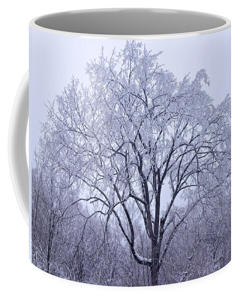 Snow Scape Coffee Mug featuring the photograph Snow Frosting by Kristin Hatt