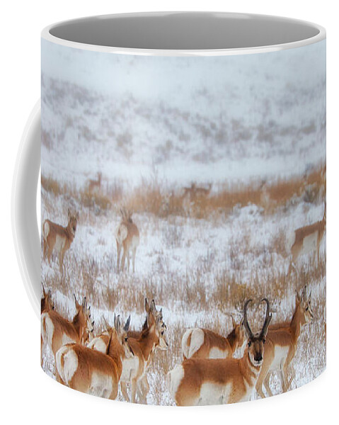 Ice Coffee Mug featuring the photograph Snow Grazers by Darren White