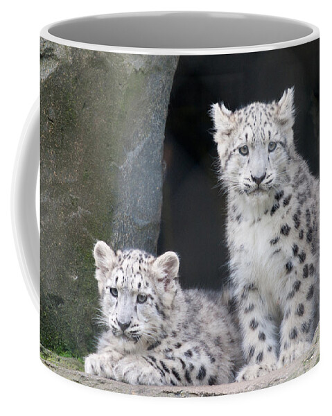 Animal Coffee Mug featuring the photograph Snow Leopard Cubs by Chris Boulton